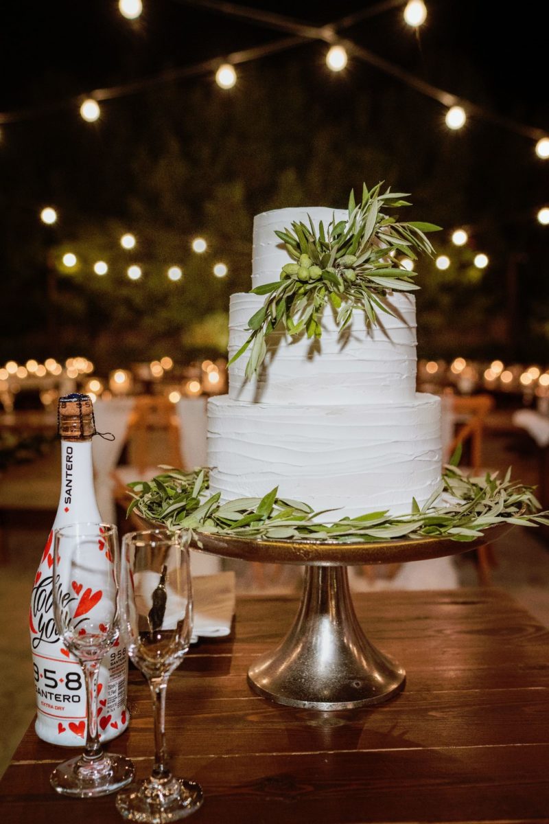 Liopetro Real Wedding - cake